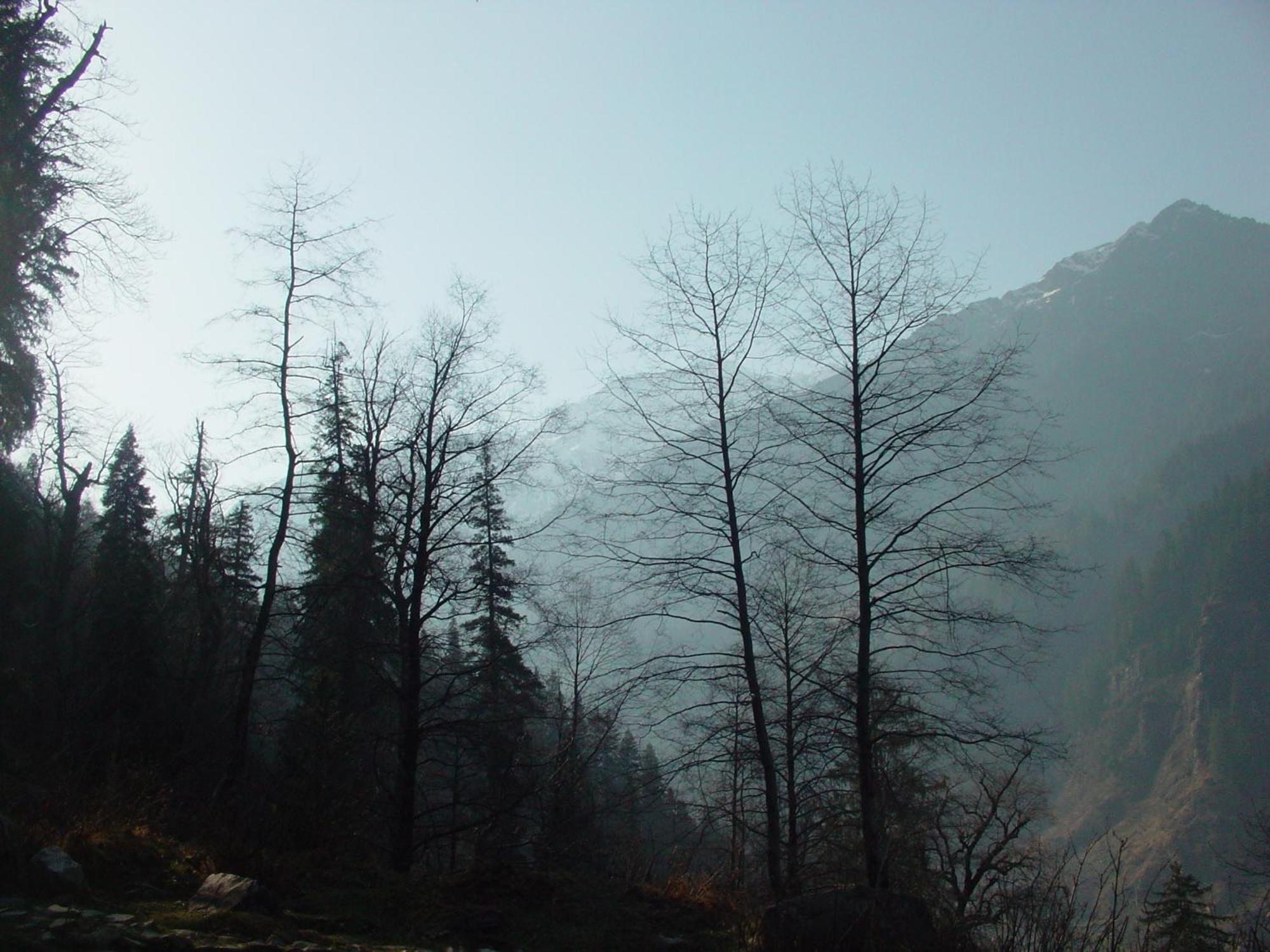 Banon Resorts Manali  Luaran gambar