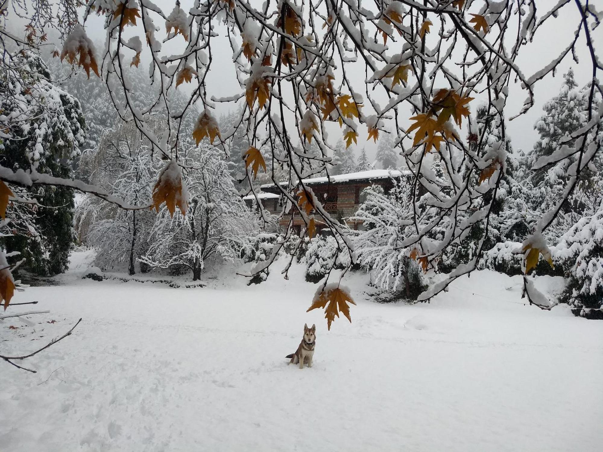 Banon Resorts Manali  Luaran gambar