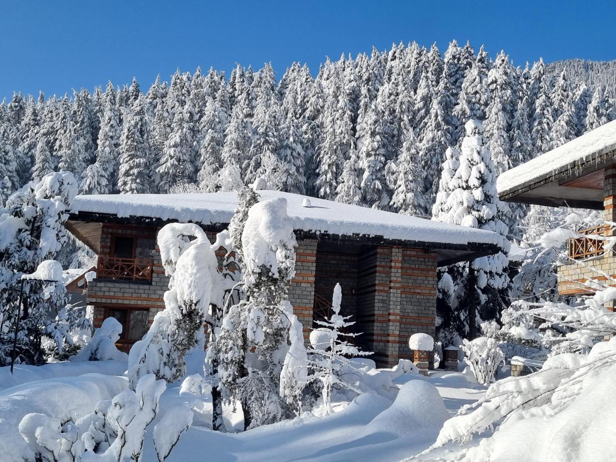 Banon Resorts Manali  Luaran gambar