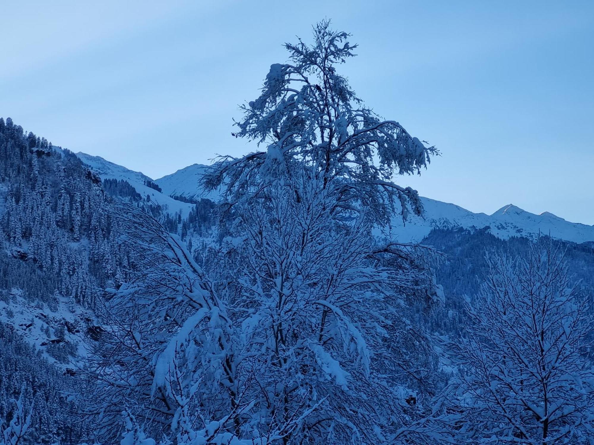 Banon Resorts Manali  Luaran gambar