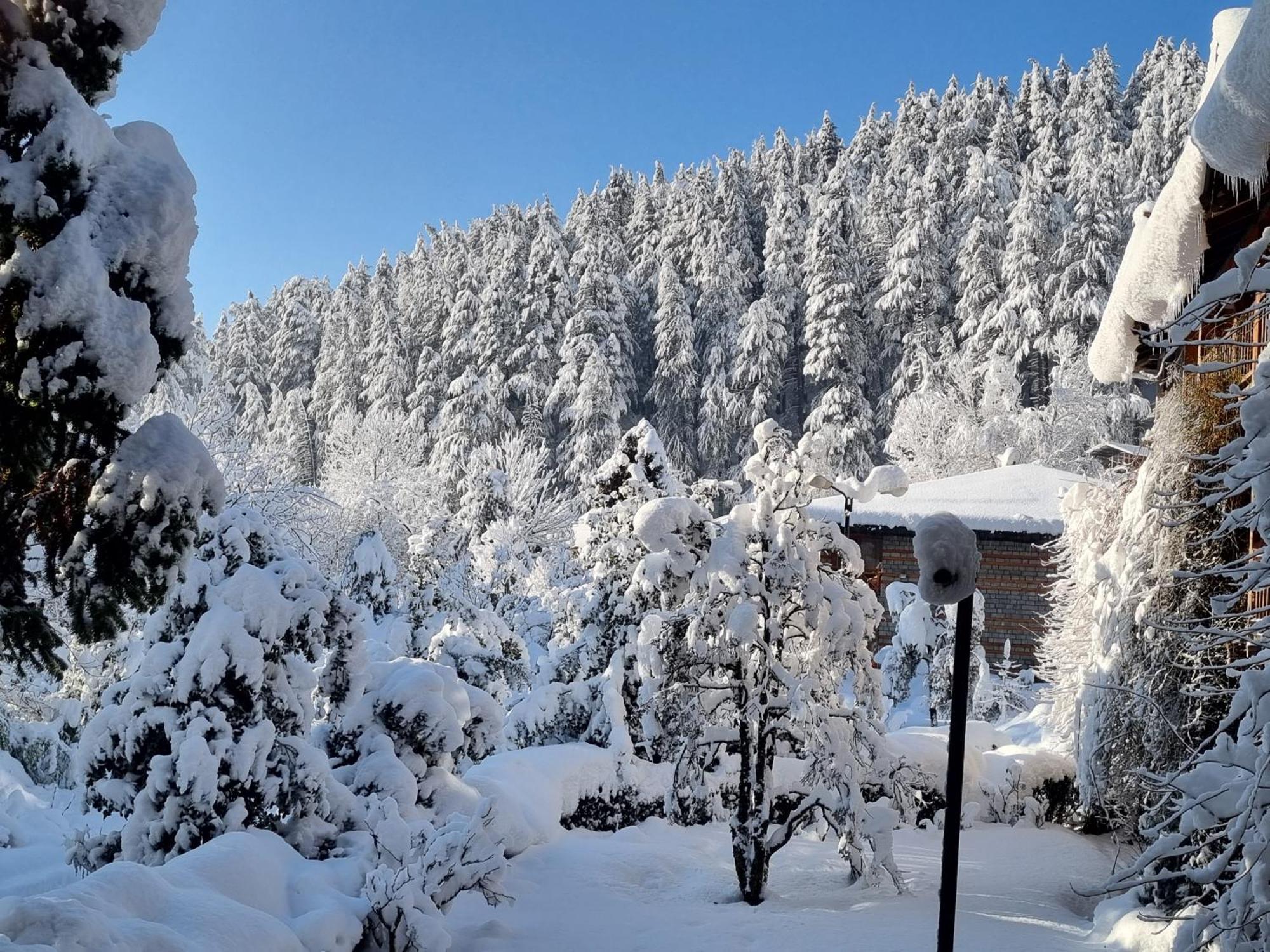 Banon Resorts Manali  Luaran gambar