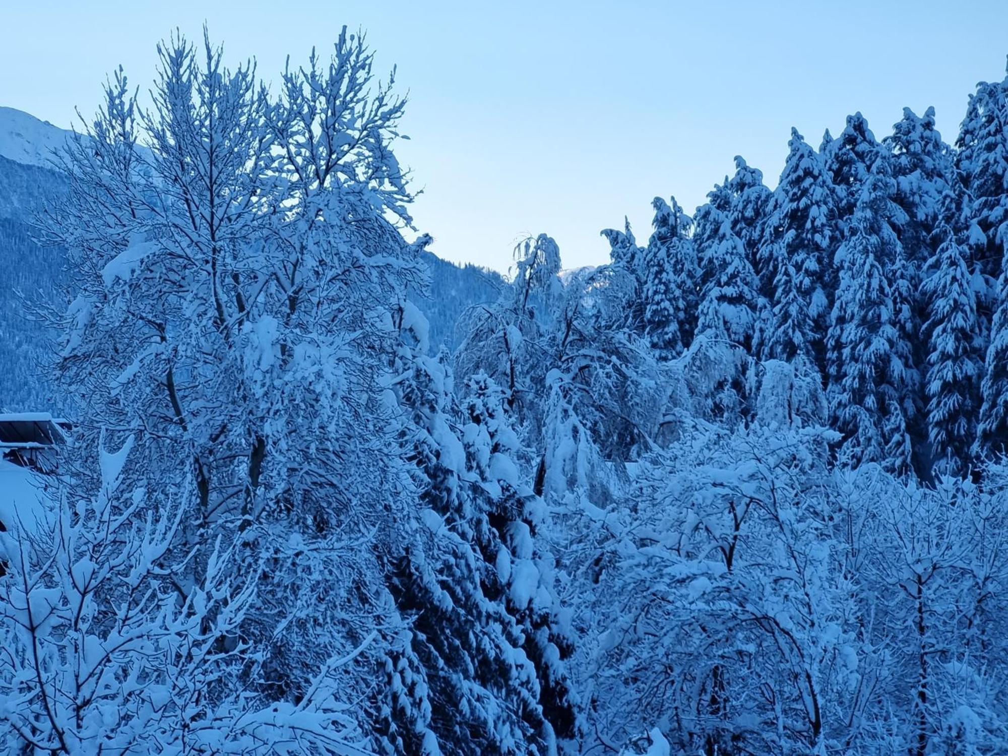 Banon Resorts Manali  Luaran gambar