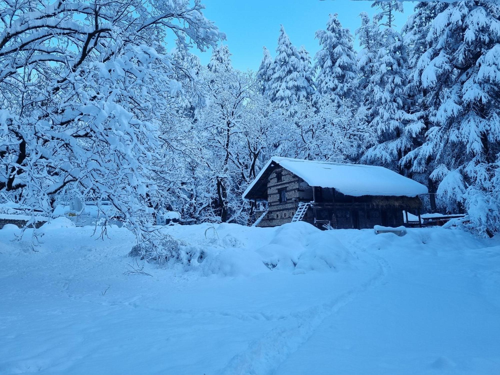 Banon Resorts Manali  Luaran gambar