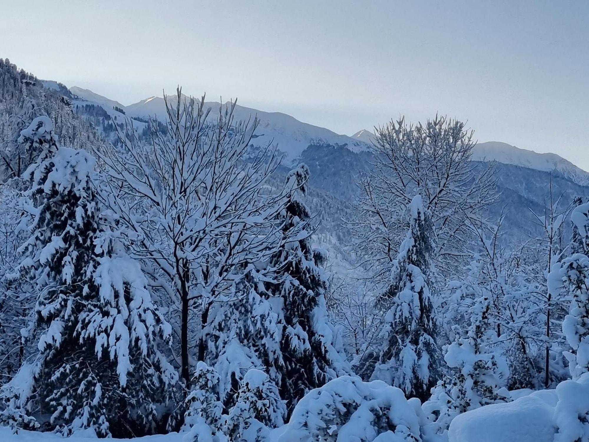 Banon Resorts Manali  Luaran gambar
